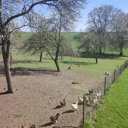 Le Floyon Сasa de vacaciones Florennes